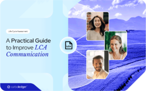 Read more about the article A Practical Guide to Improve LCA Communications