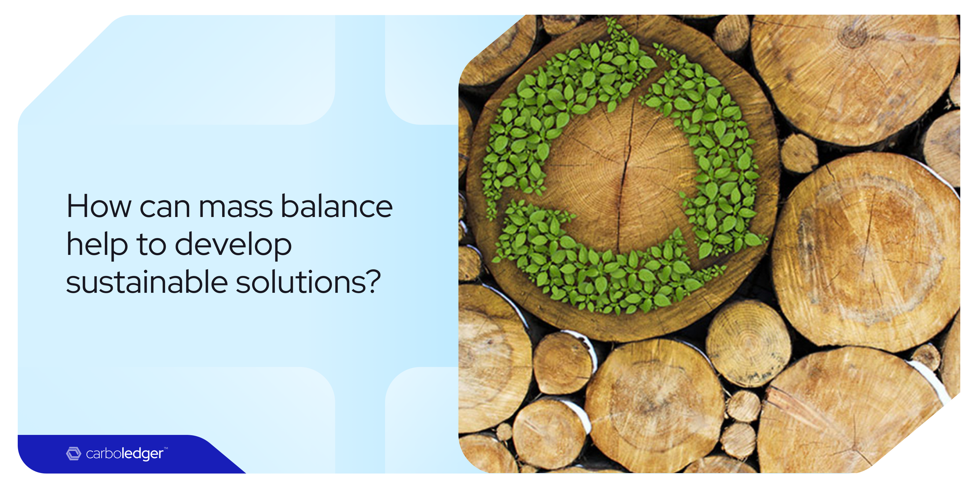 How mass balance can help you develop sustainable solutions?​