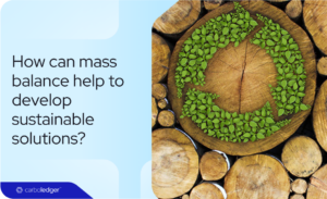 Read more about the article How mass balance can help you develop sustainable solutions?